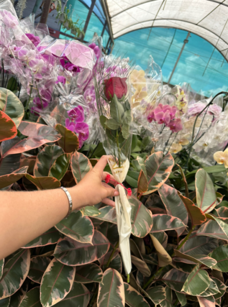 BOTÃO DE ROSA DECORADO