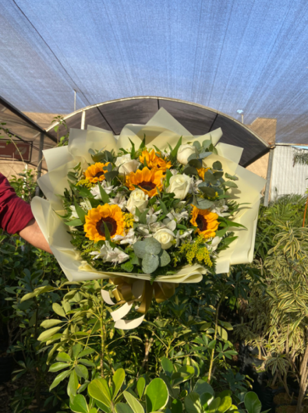 BUQUÊ ELEGANT GIRASSOL