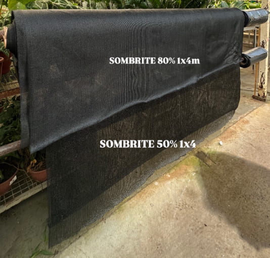 SOMBRITE 50% 1 METRO DE ALTURA  POR 4 METROS DE LARGURA