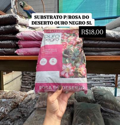 SUBSTRATO DE ROSA DO DESERTO PEQUENO 5 LITROS